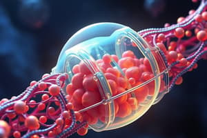 Cell Membrane Structure and Transport