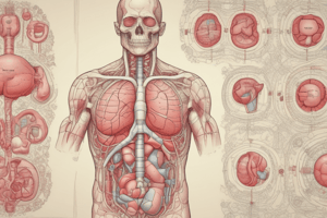 Endocrine System Organs and Tissues Quiz