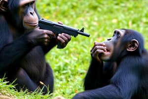 Chimpanzee Military Tactics