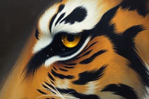 Eye of the Tiger Analysis