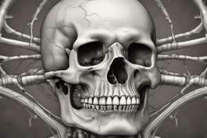 Bone Forming Tumors: Osteosarcoma