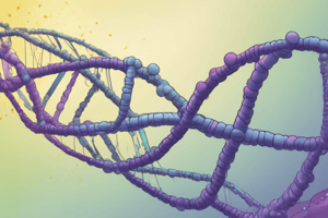 DNA Transcription Overview