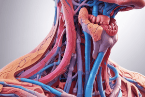 Pathoma thyroid gland Quiz