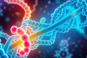 Protein Biosynthesis Overview