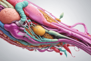 Biliary System and Pancreas Anatomy Quiz