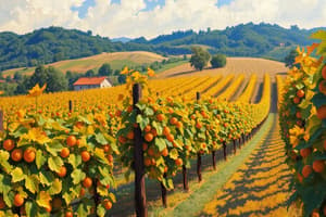 Manejo de cepas y frenos en viticultura