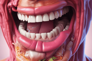 Appetite Center and Mouth Anatomy