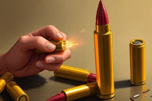 Ammunition Inspection and Maintenance