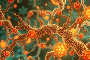 Neuroscience: Glutamate and Potassium Channels