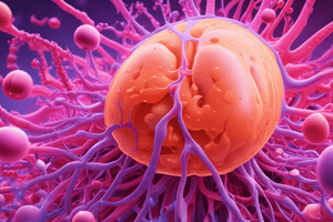 24.6 Reabsorption and Secretion in Tubules and Collecting Ducts