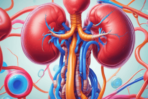 Chronic Kidney Disease Stages Quiz