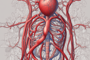 The Circulatory System