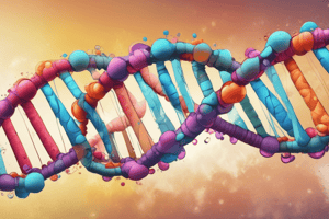 DNA Replication and Enzymes