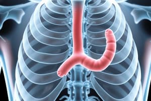 Hypoparathyroidism Overview and PTH Functions