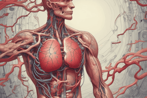 Heart Anatomy and Blood Flow