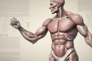 Muscle Terminology Quiz