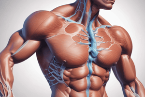 Muscle Bio Week 3: Fuel Delivery and Storage in Skeletal Muscle