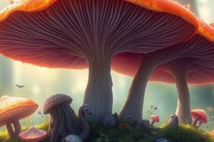 Kingdom Fungi Overview