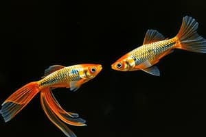 Evolution Mechanisms and Guppy Experiments