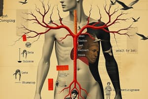 Endocrine System Overview