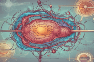 Lipid Metabolism Overview