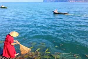 Phát triển kinh tế và bảo vệ môi trường biển đảo