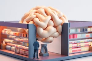 Psychology Multi-store Model of Memory