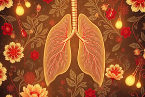 Arterial Blood Gases Quiz