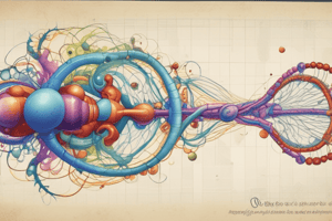 RNA Transport, Stability, and Regulation