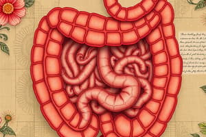 Intestinal Obstruction Overview