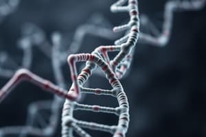 DNA Structure Overview