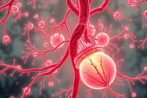 Lymphatics and Capillary Structure