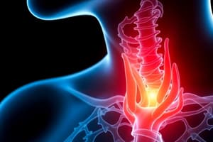 Endocrine System Overview and Thyroid Gland