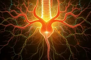 Anterior Pituitary Hormone Secretion