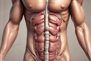 Hypotonic Colon and Urinary Retention Quiz