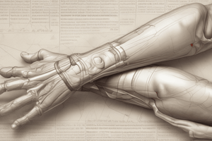 Fractures of Upper and Lower Limbs