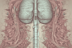 Healthcare Unit 4: Respiratory System and Drugs