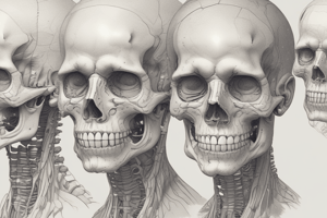 Post-natal Growth of the Skull