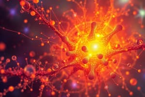 Biological Microscopy: Image Relay and Conjugate Planes