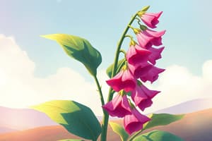 Plant Poisons and Digitalis Effects