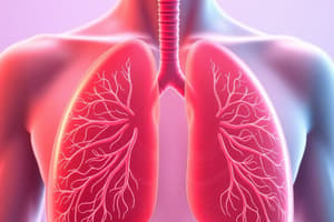 Digestive and Respiratory System Overview