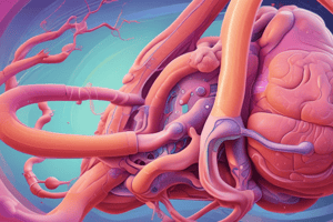 Renal Physiology Quiz: Glomerular Filtration and Tubular Reabsorption