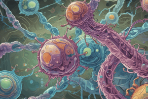 Cell Signaling and Immunology