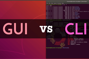 Introduction to Linux Command Line Interface (CLI)