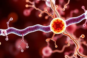 Metabolic Pathways Overview