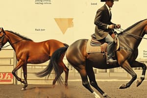 Judging Criteria in Western Horsemanship