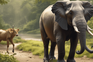 Legislació sobre animals de companyia