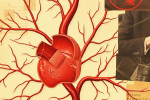 Atherosclerosis and Vascular Structure Quiz