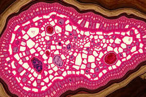 Tissue Types and Functions Quiz