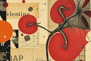 Nephritis and Glomerulonephritis Overview